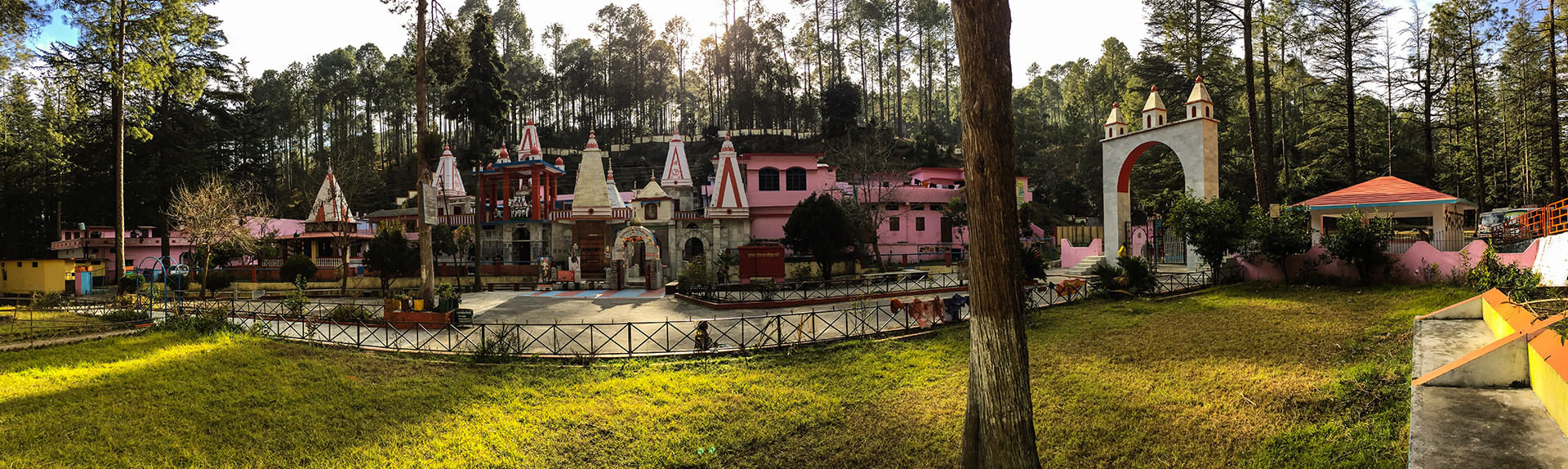 Binsar