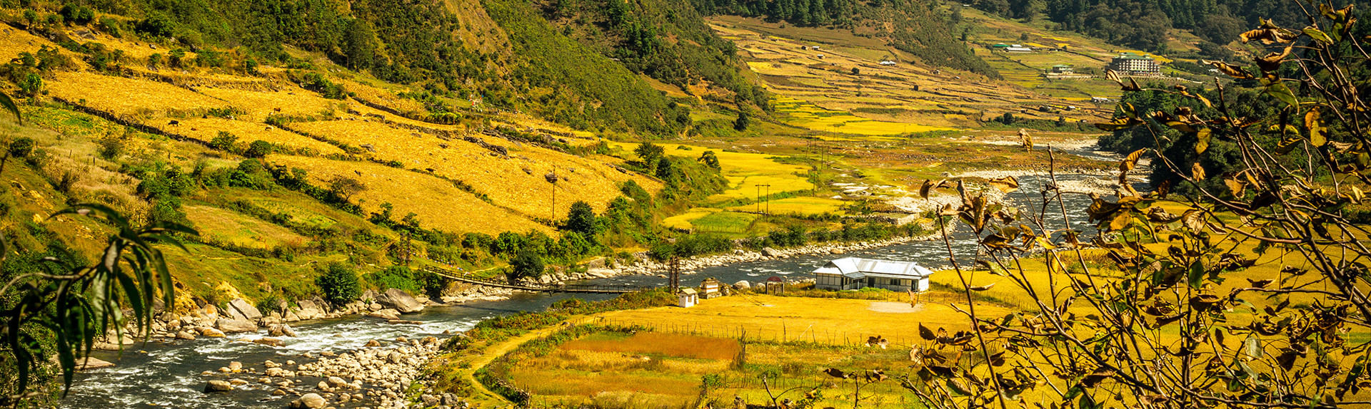 Dirang