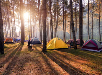 Camping in Khajjiar