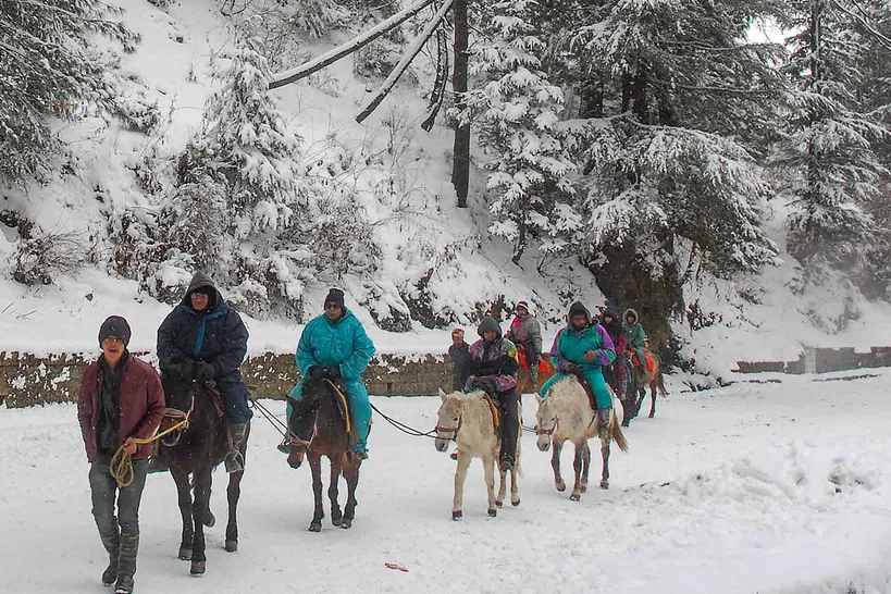 Horse Riding in Kufri