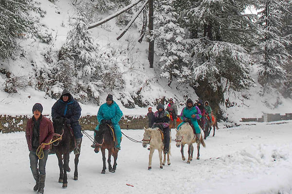 Horse Riding in Kufri