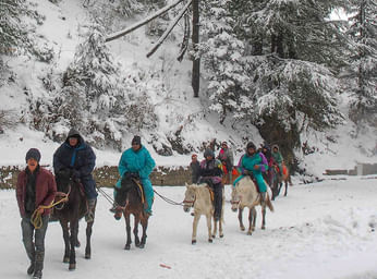 Horse Riding in Kufri