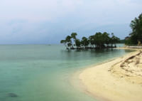 Havelock island