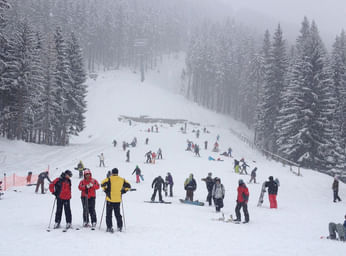 Ice-Skating in Shimla