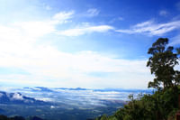 Coakers walk kodaikanal