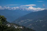 Tashi Viewpoint