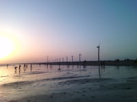 Mandvi Beach