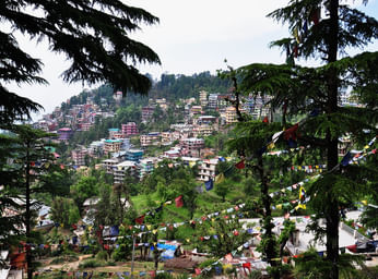 Himachal Circuit Tour