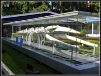 Samudrika museum andaman