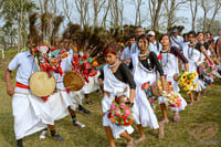 Tharu village dance