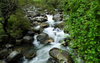 Jibhi River side