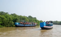 Bhitarkanika