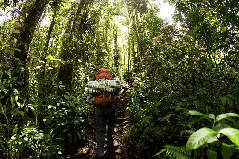 Kodia Jungle Trek