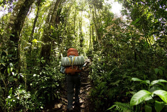 Kodia Jungle Trek