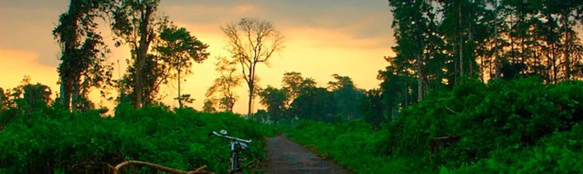 Nameri national park