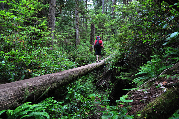 Trekking in Askote