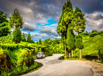 Darjeeling Honeymoon Package