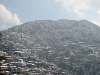 Shimla