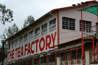 Tea Factory, Ooty