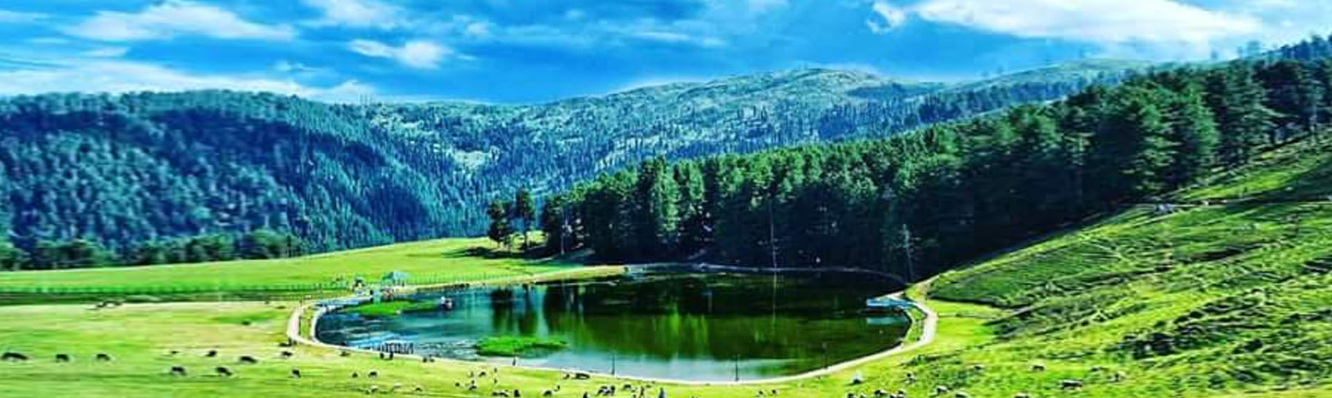 patnitop