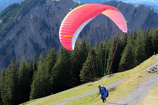 Paragliding in Shimla