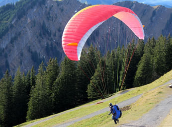 Paragliding in Shimla