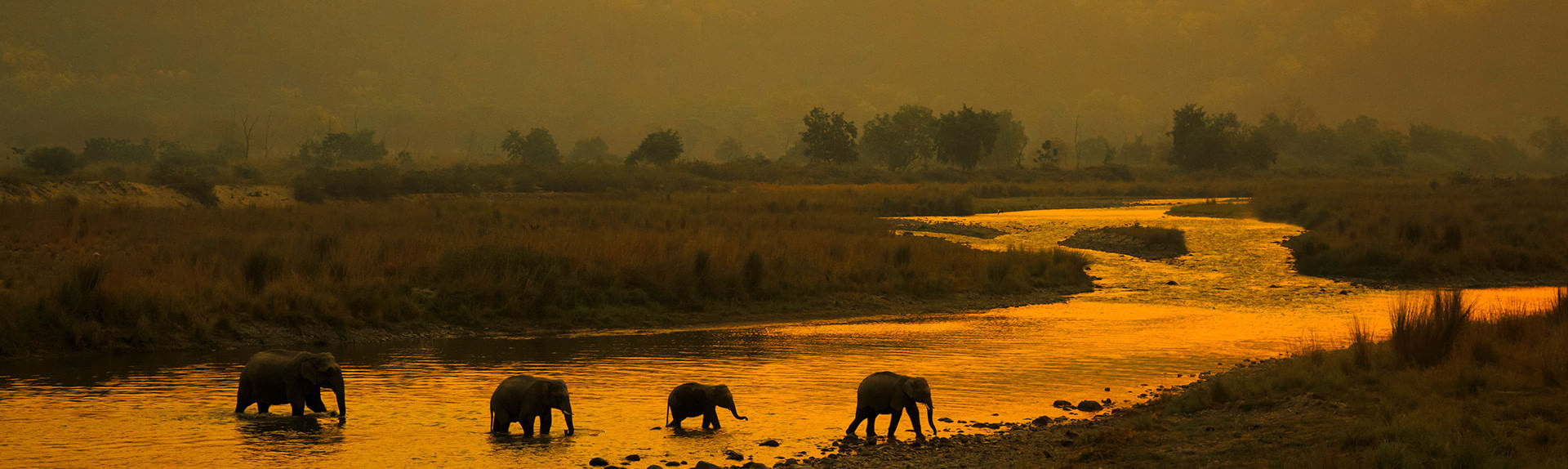 Jim Corbett