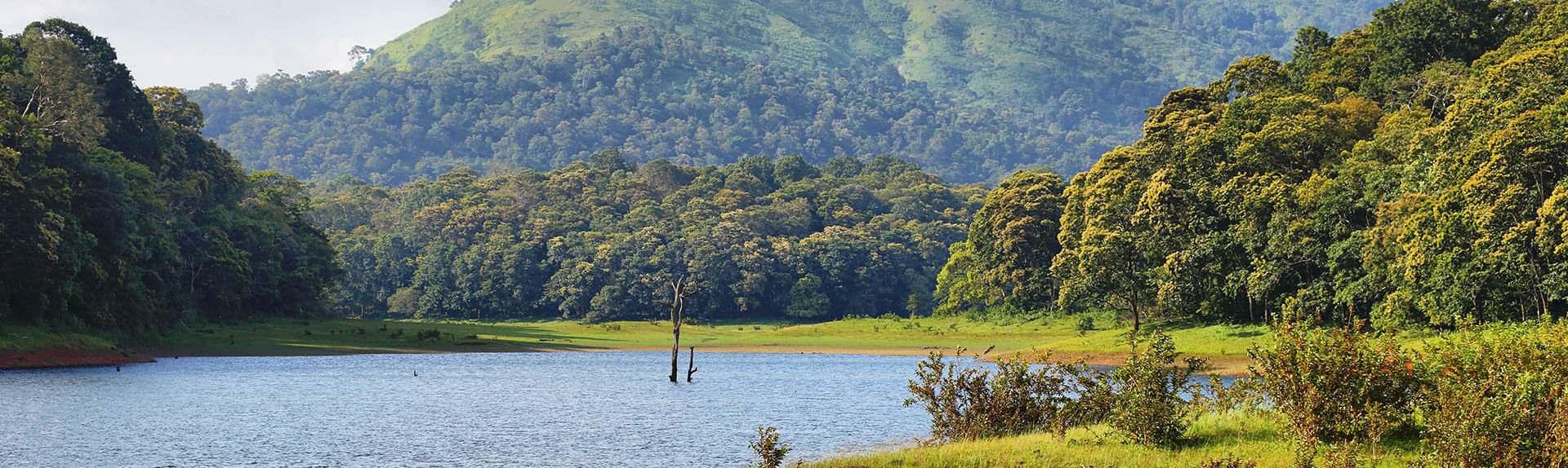 Periyar