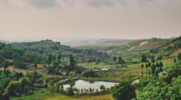Liatlumb
