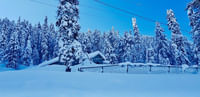 gulmarg