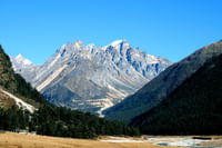 Yumthang Valley