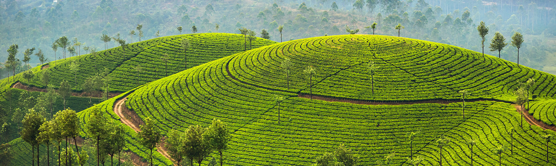 Munnar