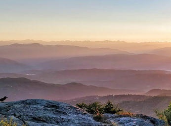 Kerala Honeymoon Tour