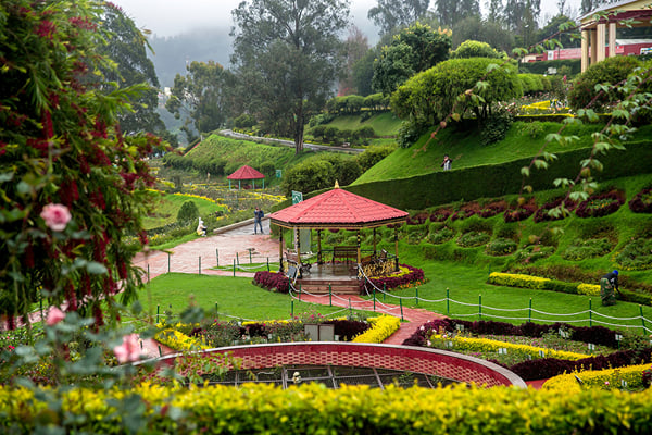 Short Ooty Tour with Bandipur