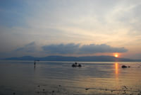 Chidiya tapu andaman