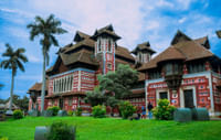 Napier Museum