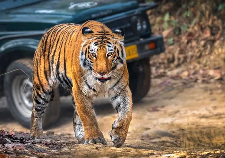 Jim Corbett Jim Corbett