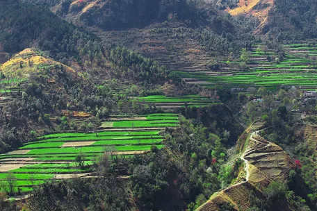 Chakrata Hill Station