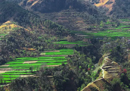Chakrata Hill Station Chakrata Hill Station
