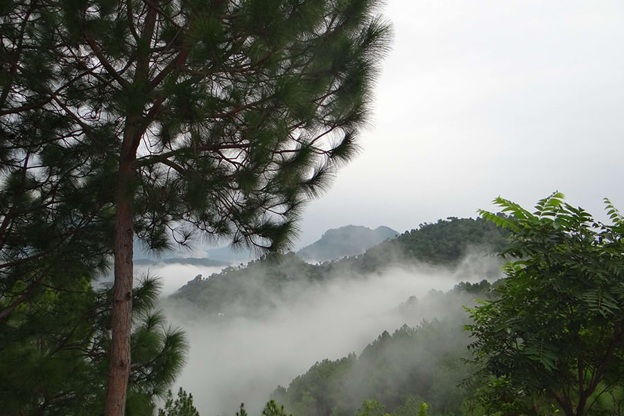 CHAIL, UTTARAKHAND ( approx. 339 km from Delhi)
