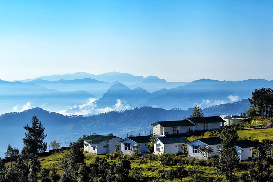 CHAUKORI, UTTARAKHAND (approx. 494 km from Delhi)