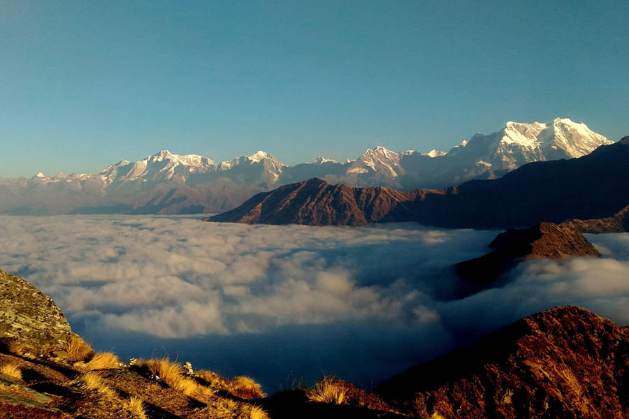 CHOPTA, UTTARAKHAND (approx. 424 km from Delhi)