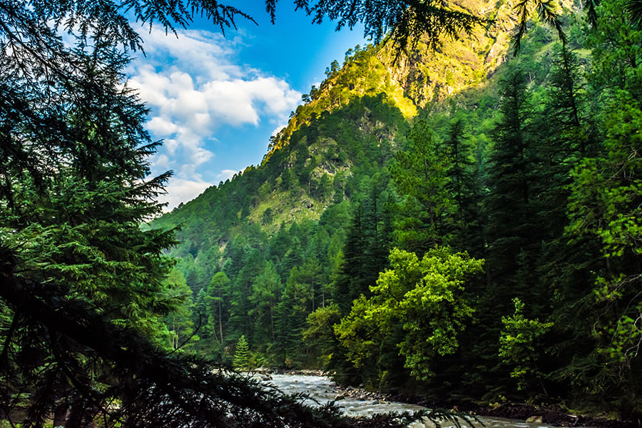 KASOL, HIMACHAL PRADESH (approx. 519 km from Delhi)