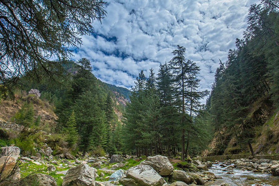 PARVATI VALLEY (approx. 541 km from Delhi)