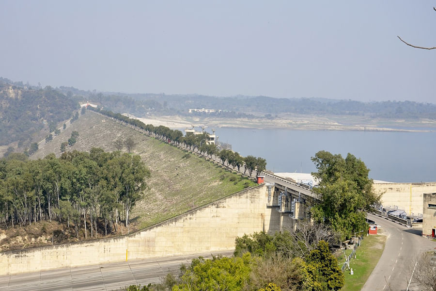 PONG DAM, HIMACHAL PRADESH (approx. 433 km from Delhi)
