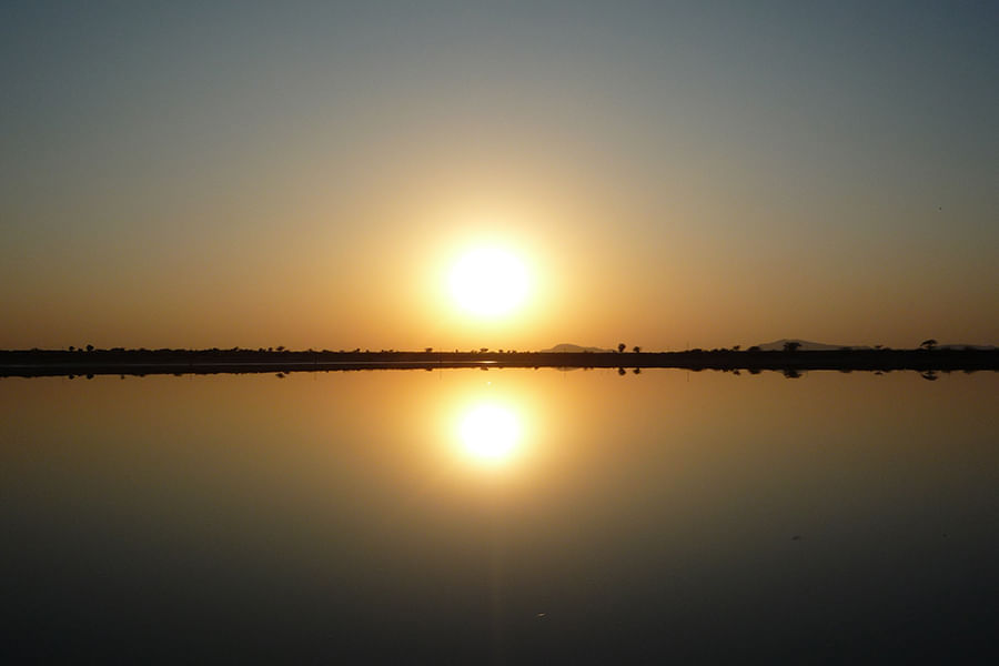 SAMBHAR LAKE, RAJASTHAN ( approx. 340 km from Delhi)