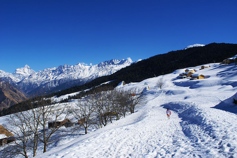 AULI-JOSHIMATH, UTTARAKHAND (approx. 513 km from Delhi)