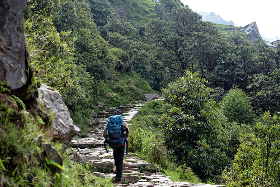 Triund Trek (Approx 488 km from Delhi)