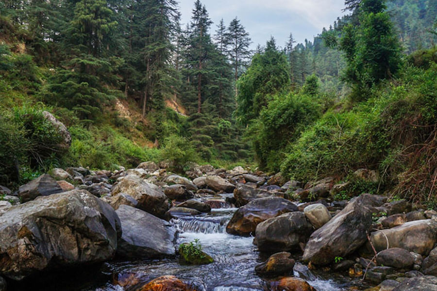 Jibhi(Approx 501 km from Delhi)