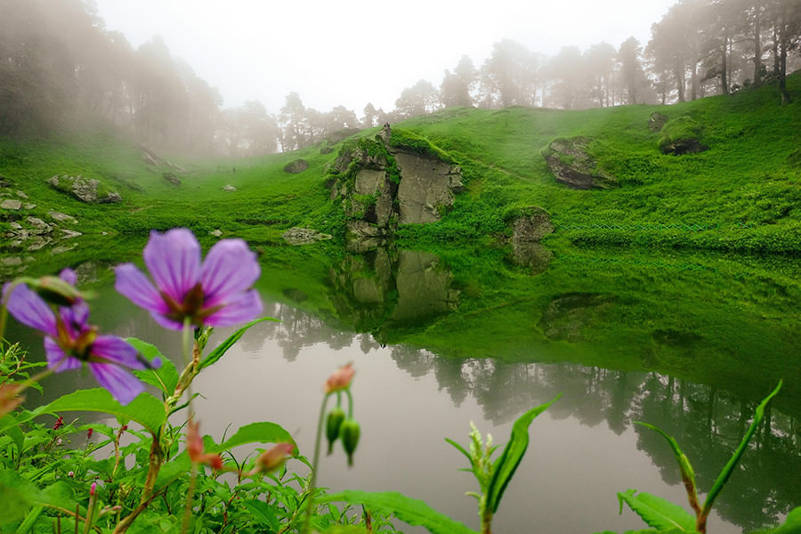JIBHI, Himachal Pradesh (approx. 506 km from Delhi)